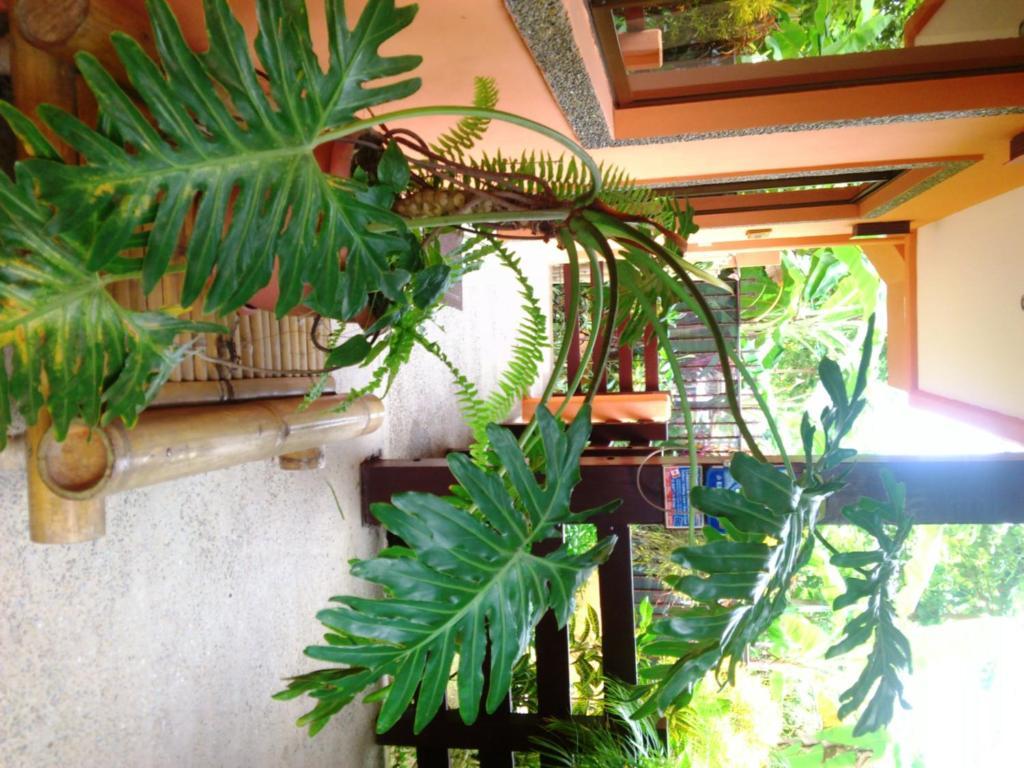 Inn On The Park Manuel Antonio Zewnętrze zdjęcie